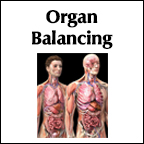 Organ Balancing | Soul Balancing™